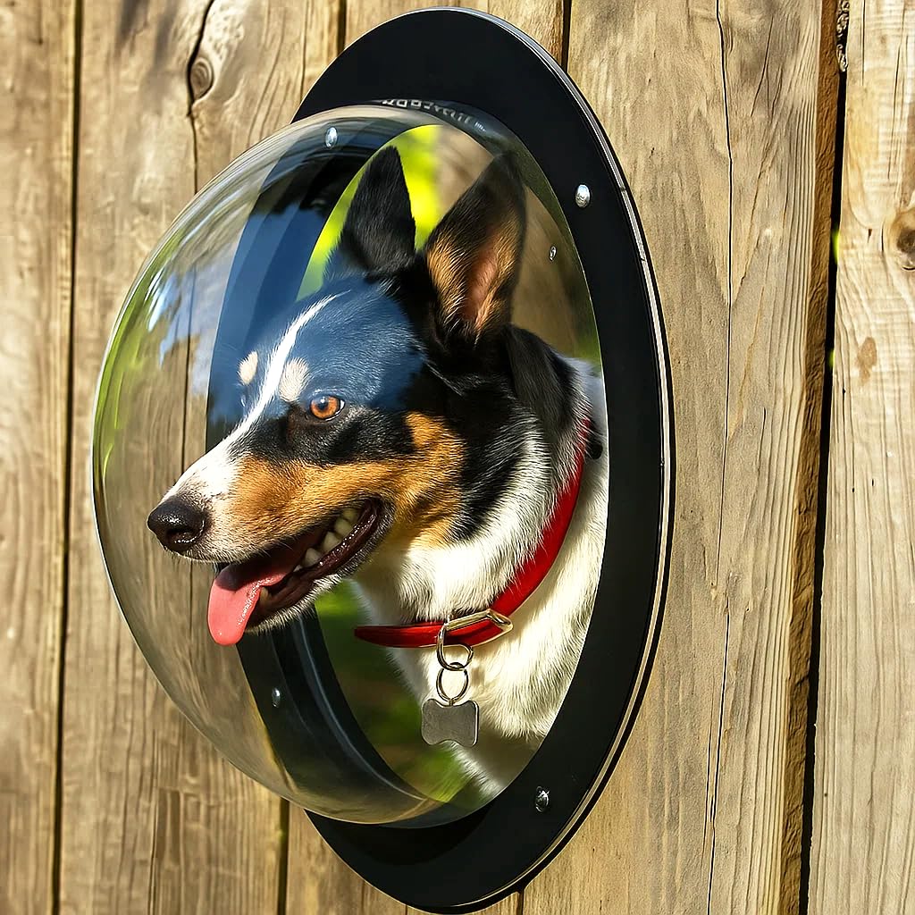 H&B Luxuries domo acrílico para perro junto a la valla, observa con seguridad