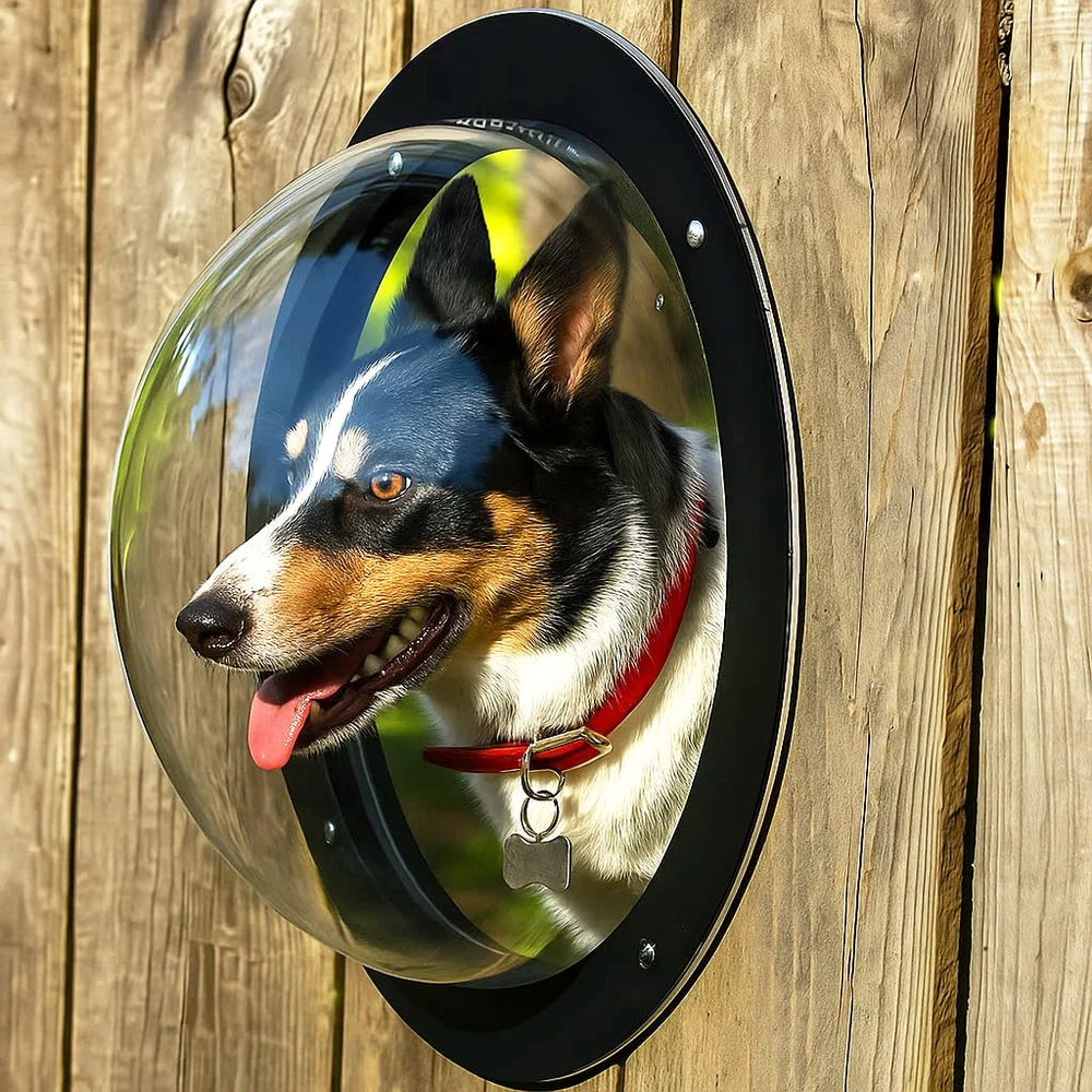 H&B Luxuries domo acrílico para perro junto a la valla, observa con seguridad