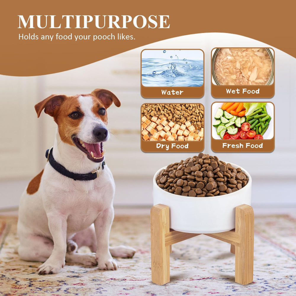 Juego de dos tazones elevados Lionwei para perros.
