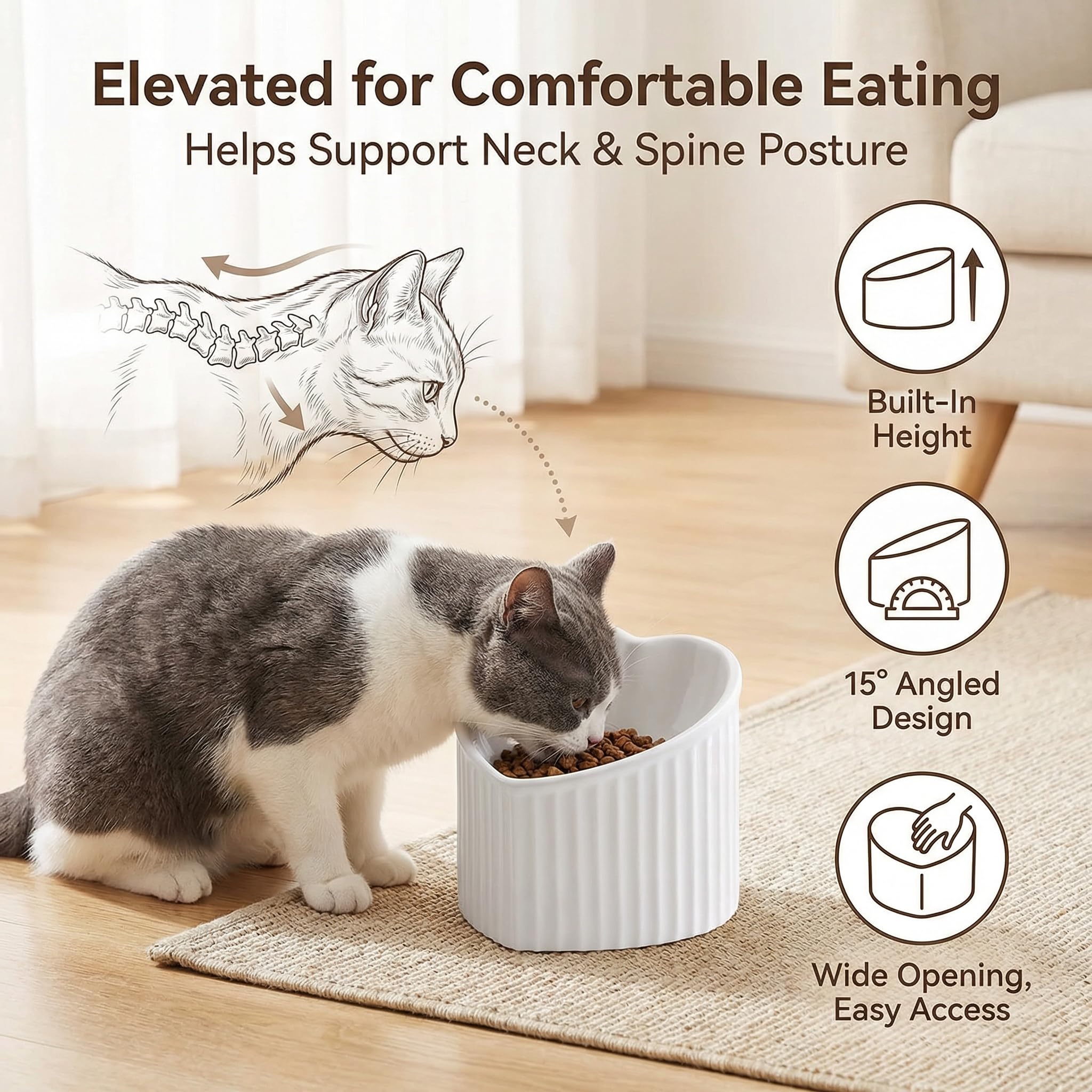 HCHLQLZ plato ancho para gatos de 5,5 pulgadas, facilita comer.