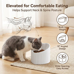 HCHLQLZ plato ancho para gatos de 5,5 pulgadas, facilita comer.