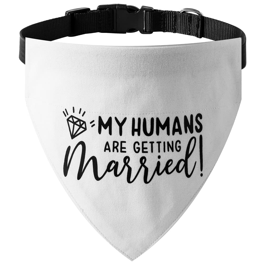 HDGDT bandana-collar boda para perros; ideal para fiestas y fotos memorables.