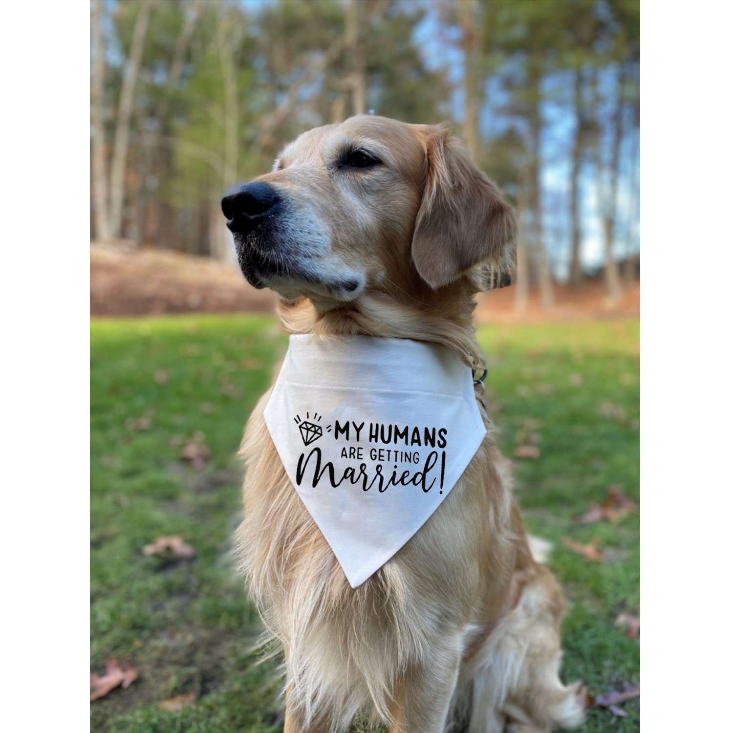 HDGDT bandana-perro lavable y ligera; cómoda para uso diario.