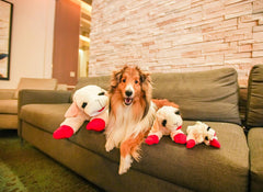HDP Lambchop con chirrido suave, perfecto para juego supervisado.