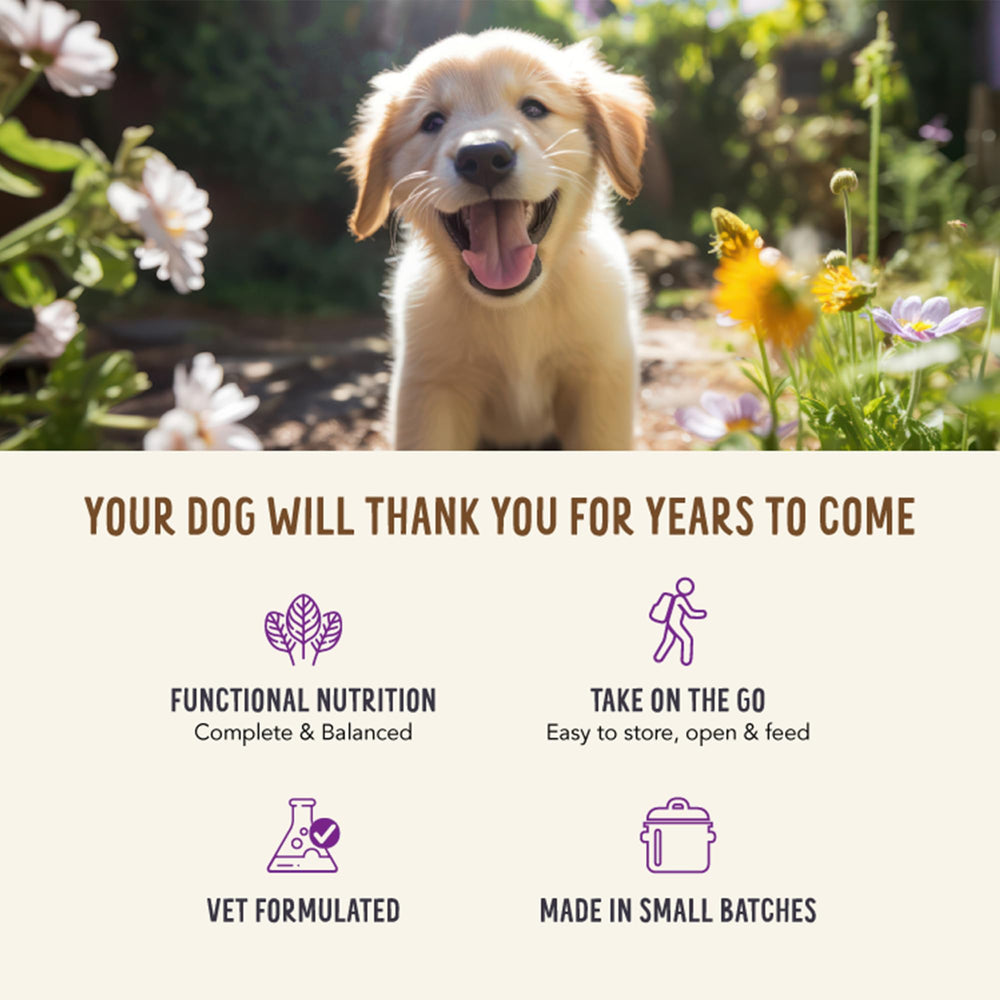 Health Extension Broth-Licious variedad-perros servicio cómodo y sabroso