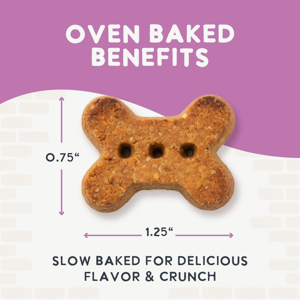 Health Extension galletas perro frutas-verduras: sabor real y nutrición con superalimentos.