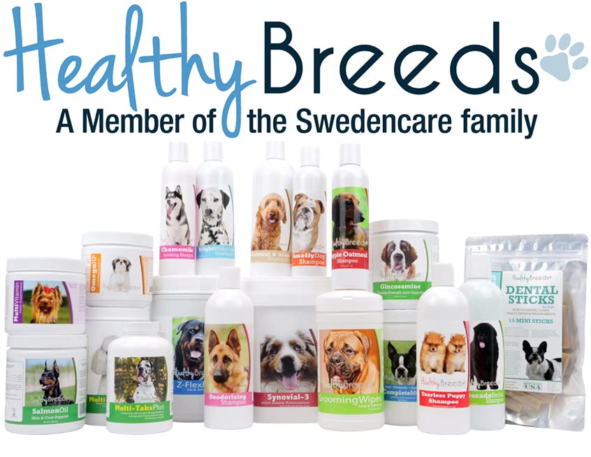 Healthy Breeds Z-Flex Max para perros en entrenamiento en movimiento