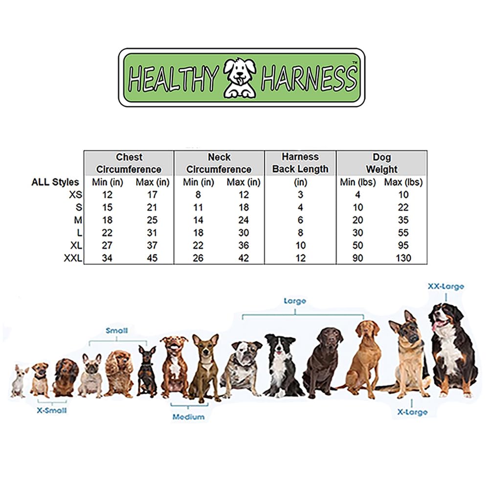 Arnés Healthy Harness vista posterior, asa de emergencia para maniobras rápidas.