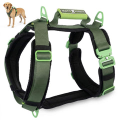 Arnés Healthy Harness vista frontal, cómodo para paseos diarios sin tirones.