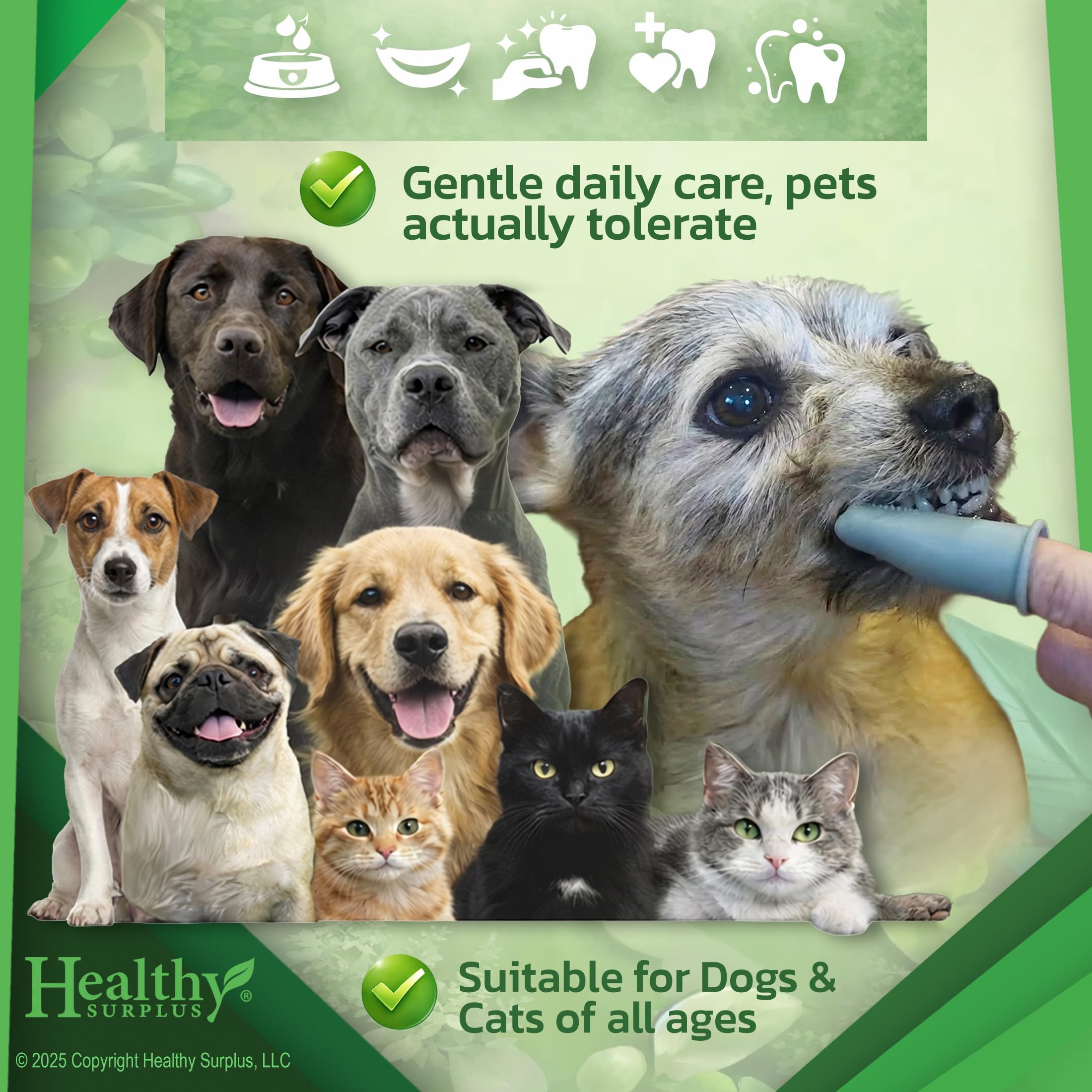 Enzimas dentales de Healthy Surplus para limpieza de dientes.
