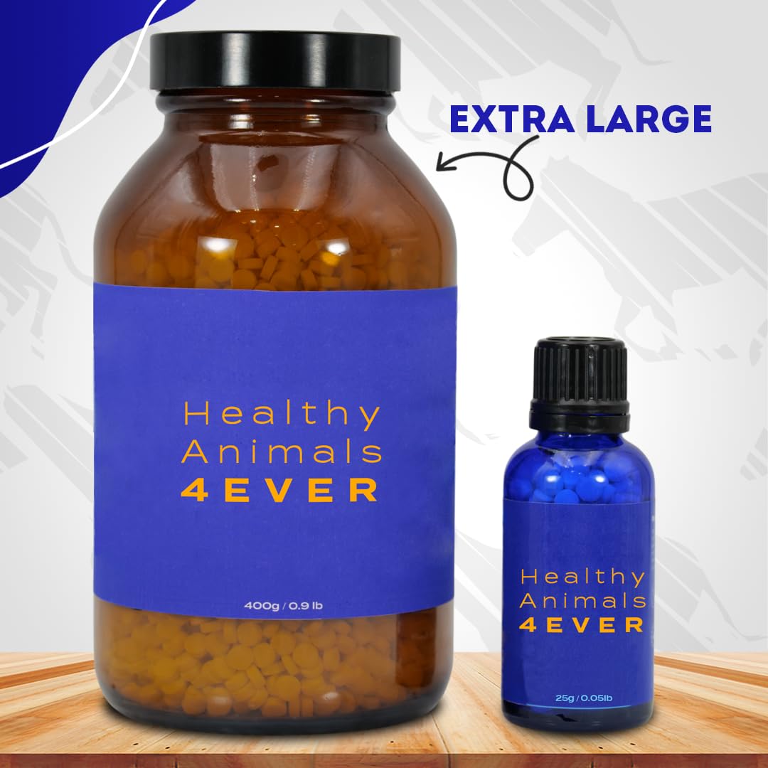 HealthyAnimals4Ever HA4E beneficios para la claridad visual del caballo.