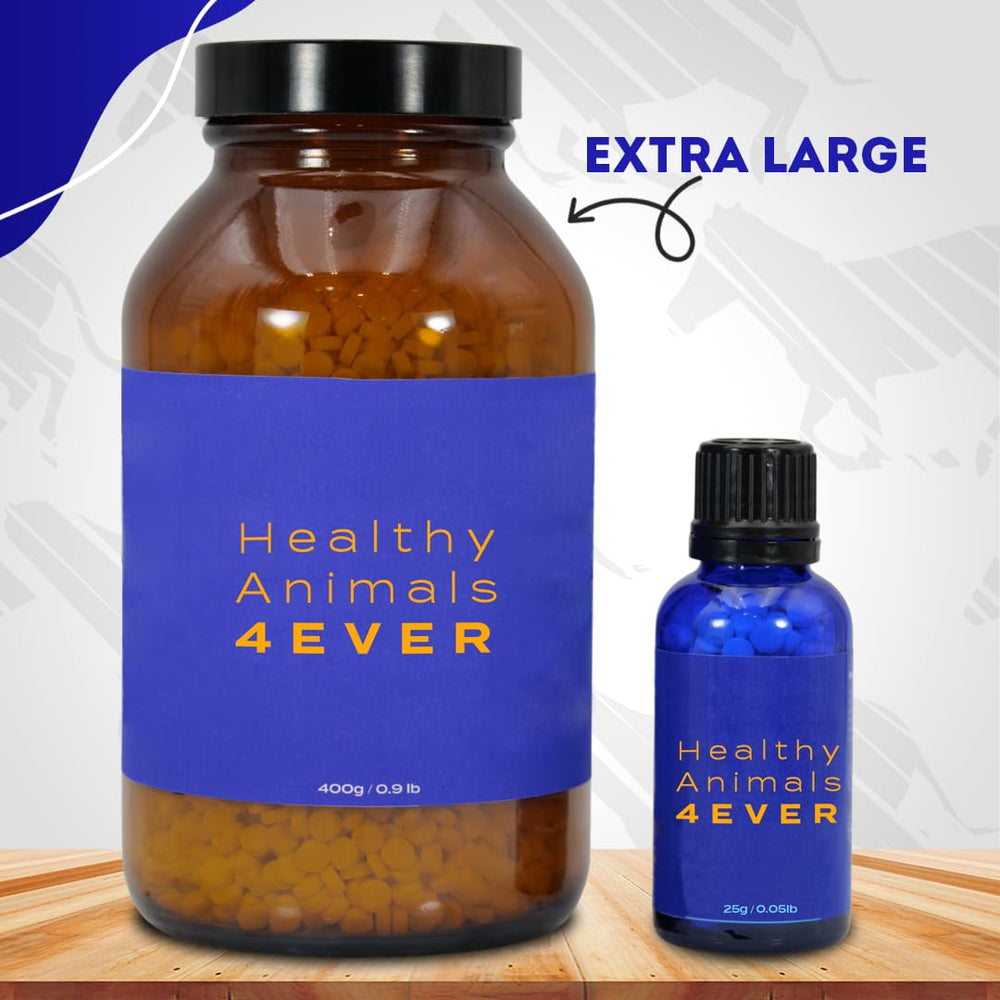 HealthyAnimals4Ever HA4E beneficios para la claridad visual del caballo.