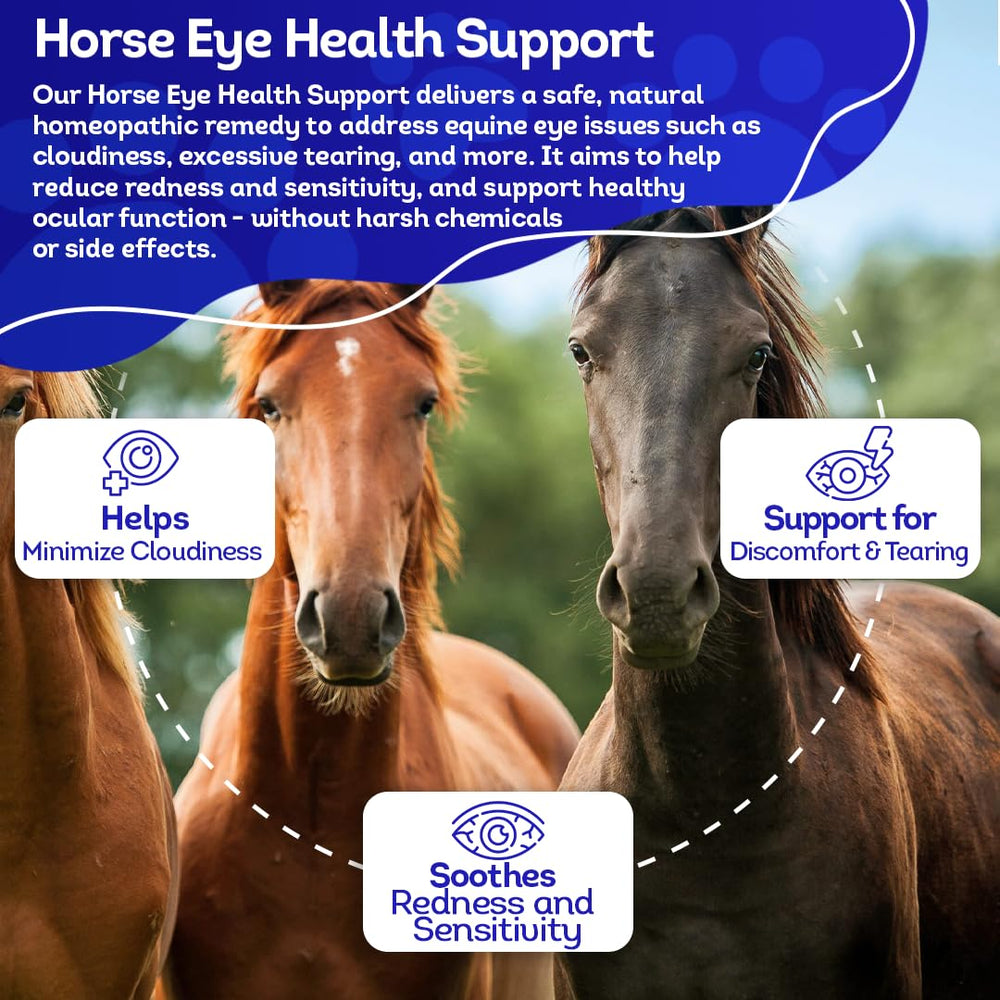 HealthyAnimals4Ever HA4E sensación de confort en caballos.