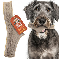 Heartland Antlers: dientes limpios gracias a la masticación con asta natural.