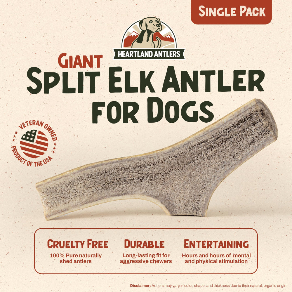 Heartland Antlers: masticación agresiva para un perro activo y feliz.