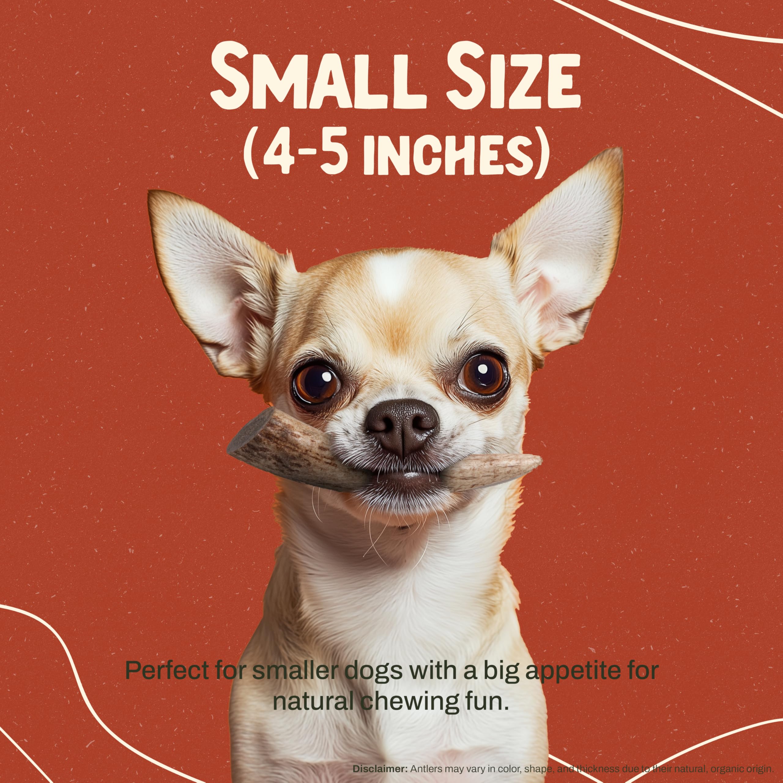 Talla pequeña ideal para perros pequeños o de peso ligero.