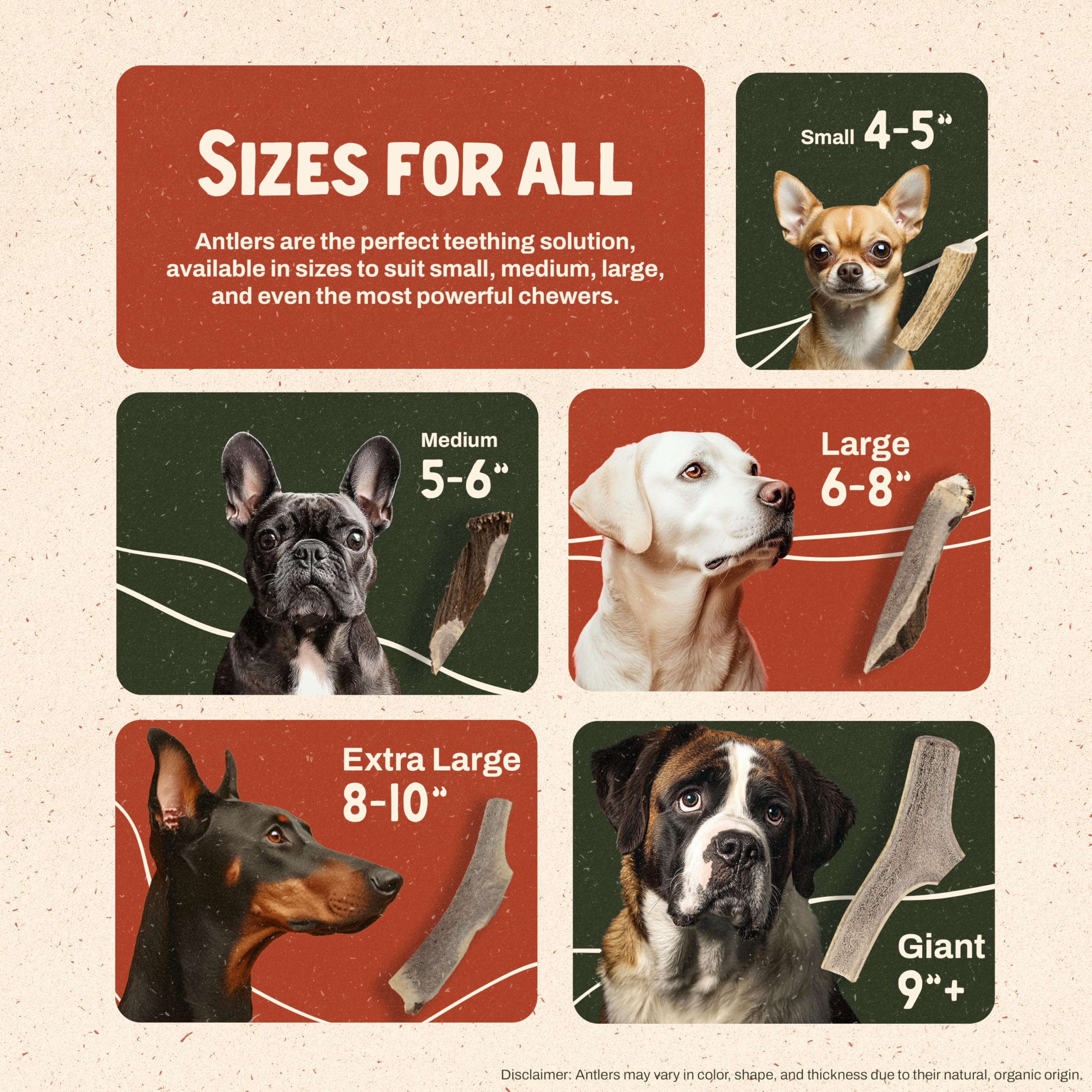 Heartland Antlers: aptas para todas las razas y tamaños de perro.