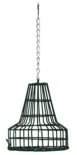 Heath Outdoor Products, comedero verde con jaula y cadena, ideal para alimentación segura de aves.