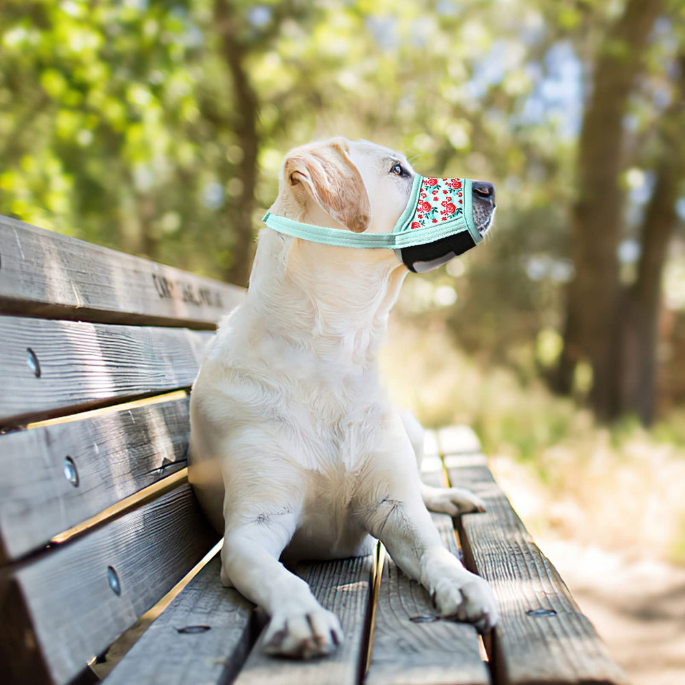 Guide tailles HEELE pour museau de chien.