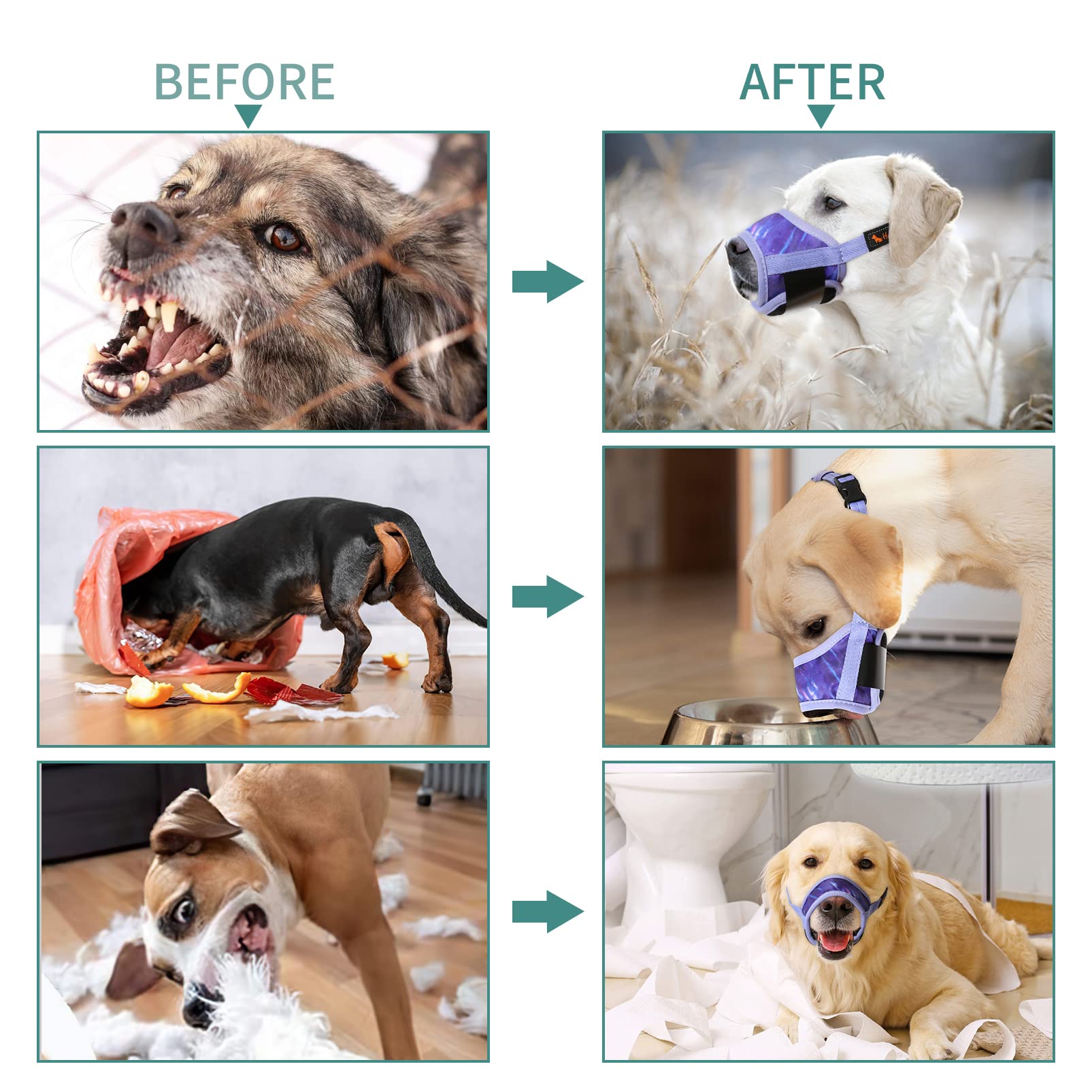 HEELE masque chien disponible en plusieurs couleurs.