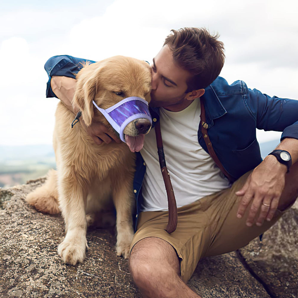 HEELE masque chien lavage machine, nettoyage rapide et pratique.