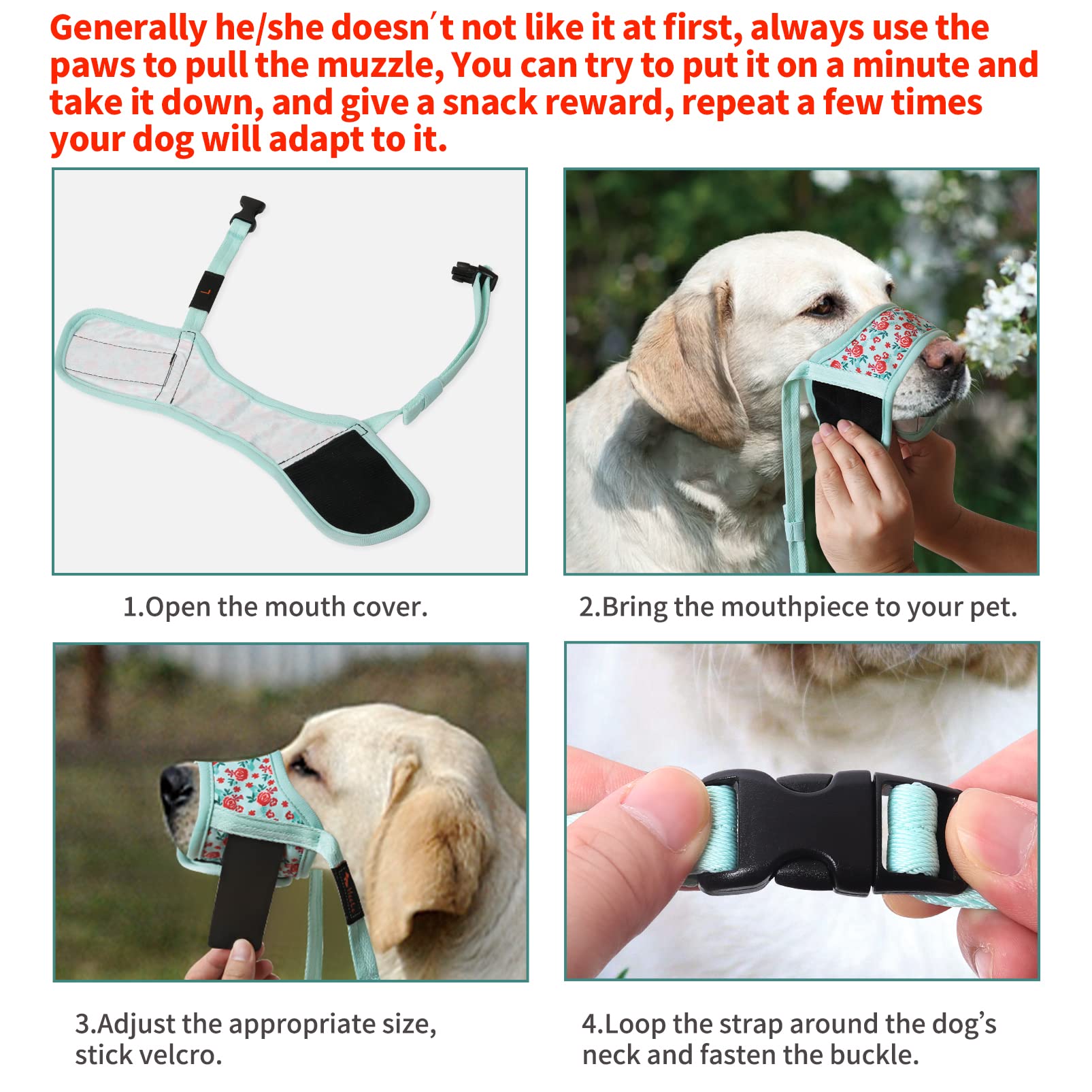 HEELE museau pour chien réglable nez et cou, ajustement sûr.