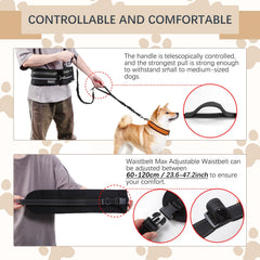 Heellpxi: doble mango para mayor control y entrenamiento