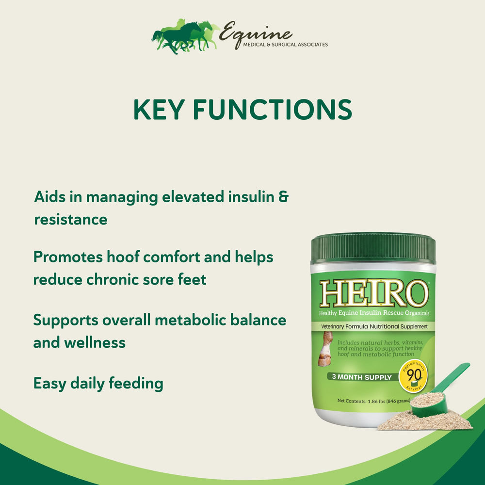 HEIRO ingredientes naturales espirulina fenogreco canela jengibre: selección para bienestar.
