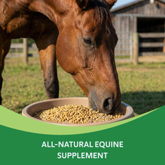 HEIRO, mezcla herbal para caballos, destacan ingredientes naturales para vitalidad.