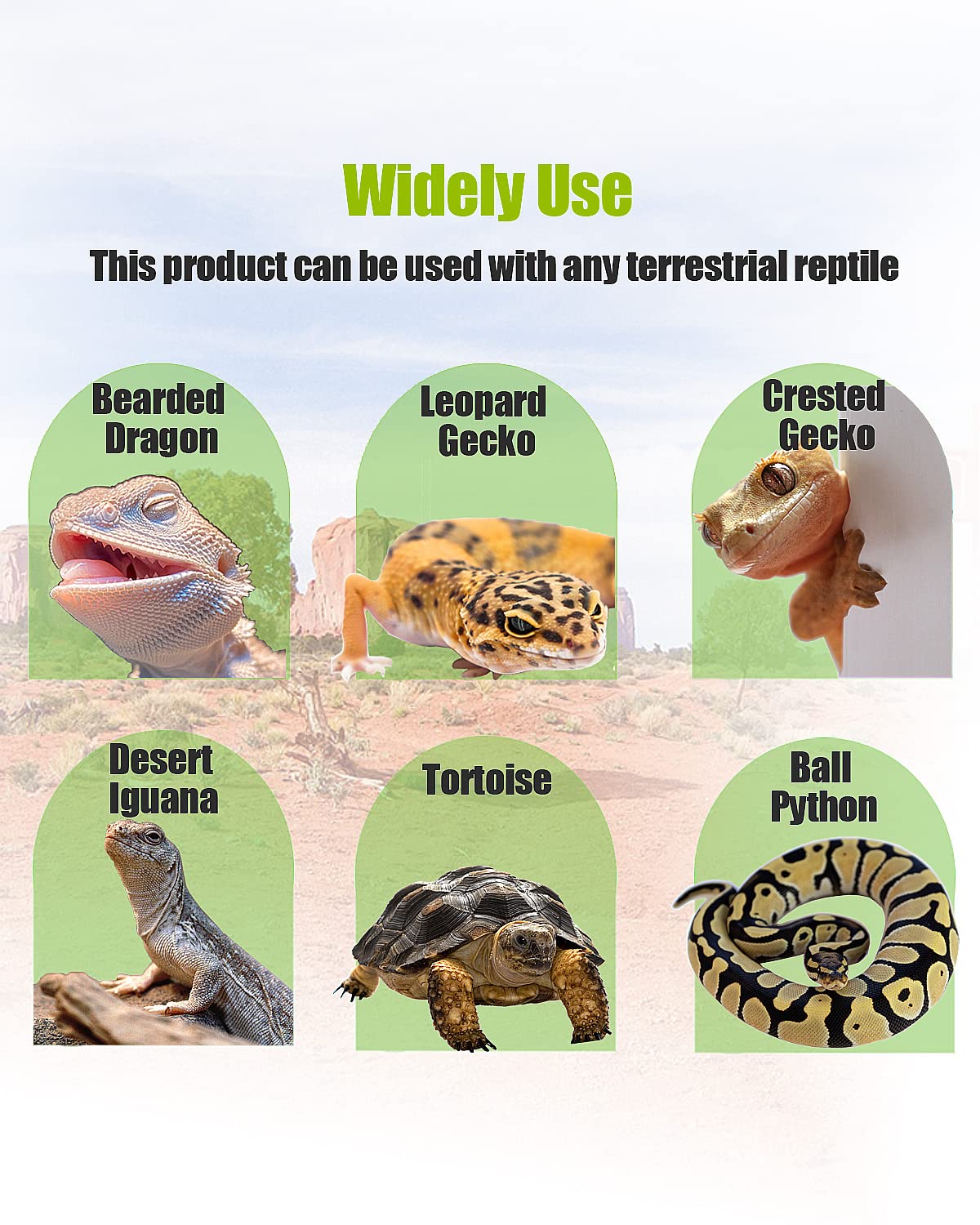 Helidrago liner: suelo estable para reptiles en terrarios variados.