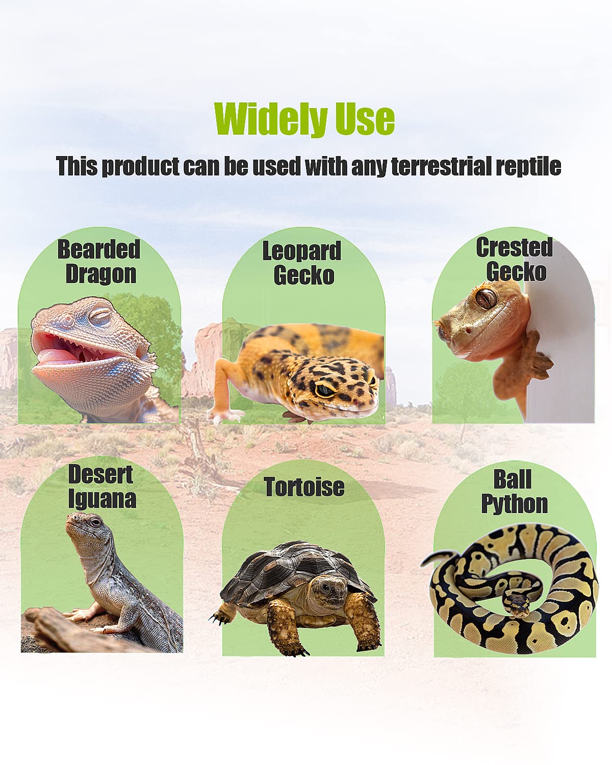 Helidrago apto-dragon-barbudo-gecko: compatible con dragón barbudo y geckos leopardo.