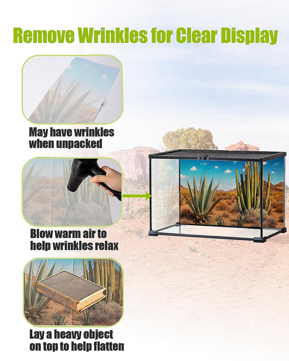 Helidrago fondo reptil rocoso, ambiente natural que favorece la curiosidad del reptil