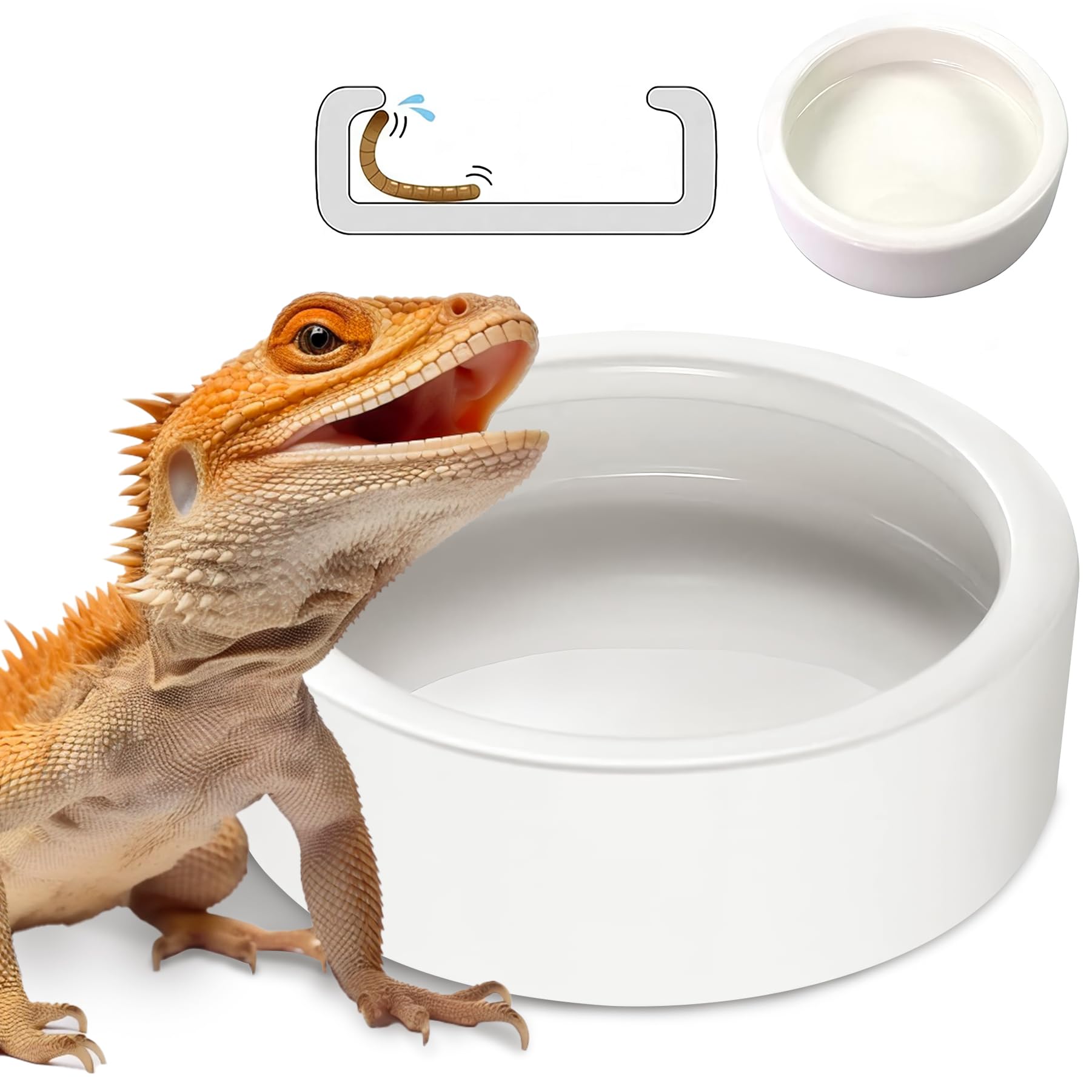 HELIME tazon ceramico para reptiles frente facilita ver y atrapar gusanos