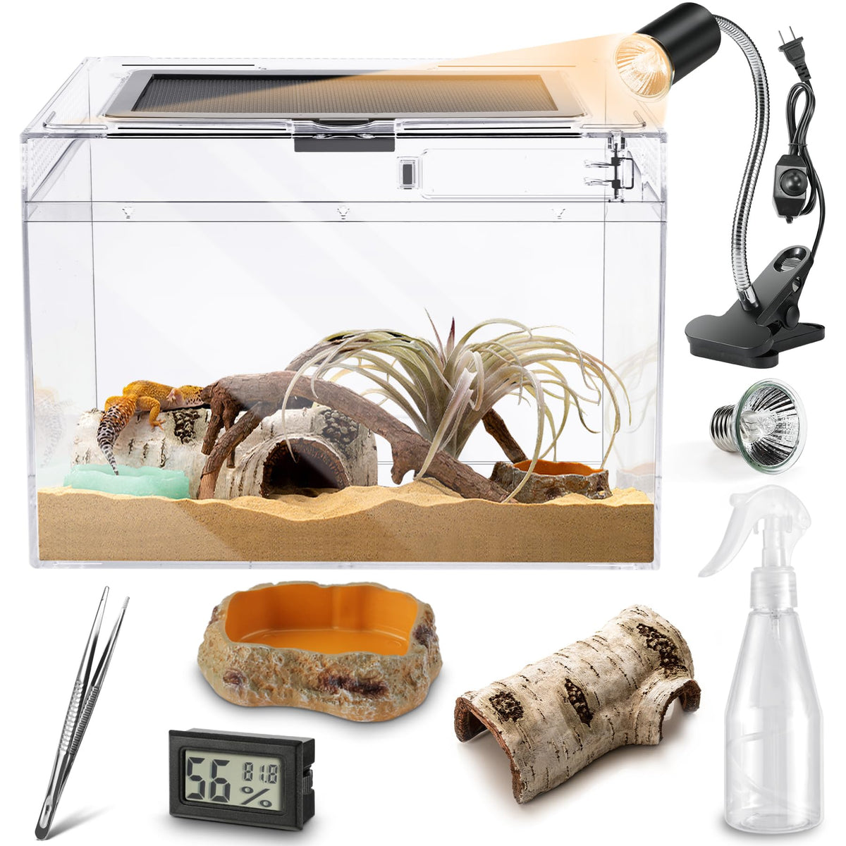 HELIME terrario con vista 360° para observar reptiles con claridad.