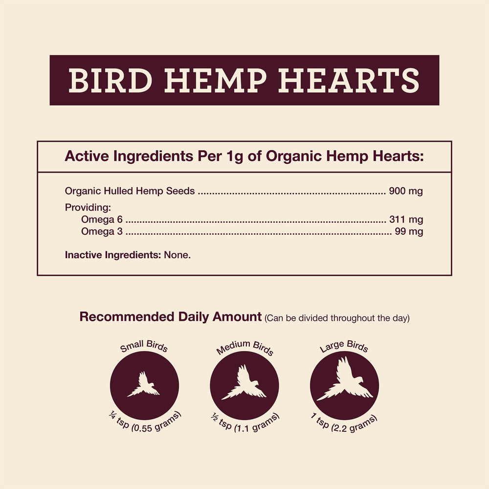 Hemp Well: plumas brillantes y piel saludable gracias al cáñamo.