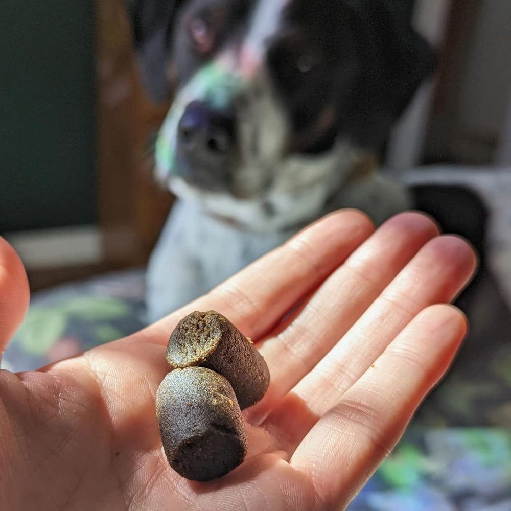 Hemp Well Relief: para perro senior, apoyo potencial para articulaciones.