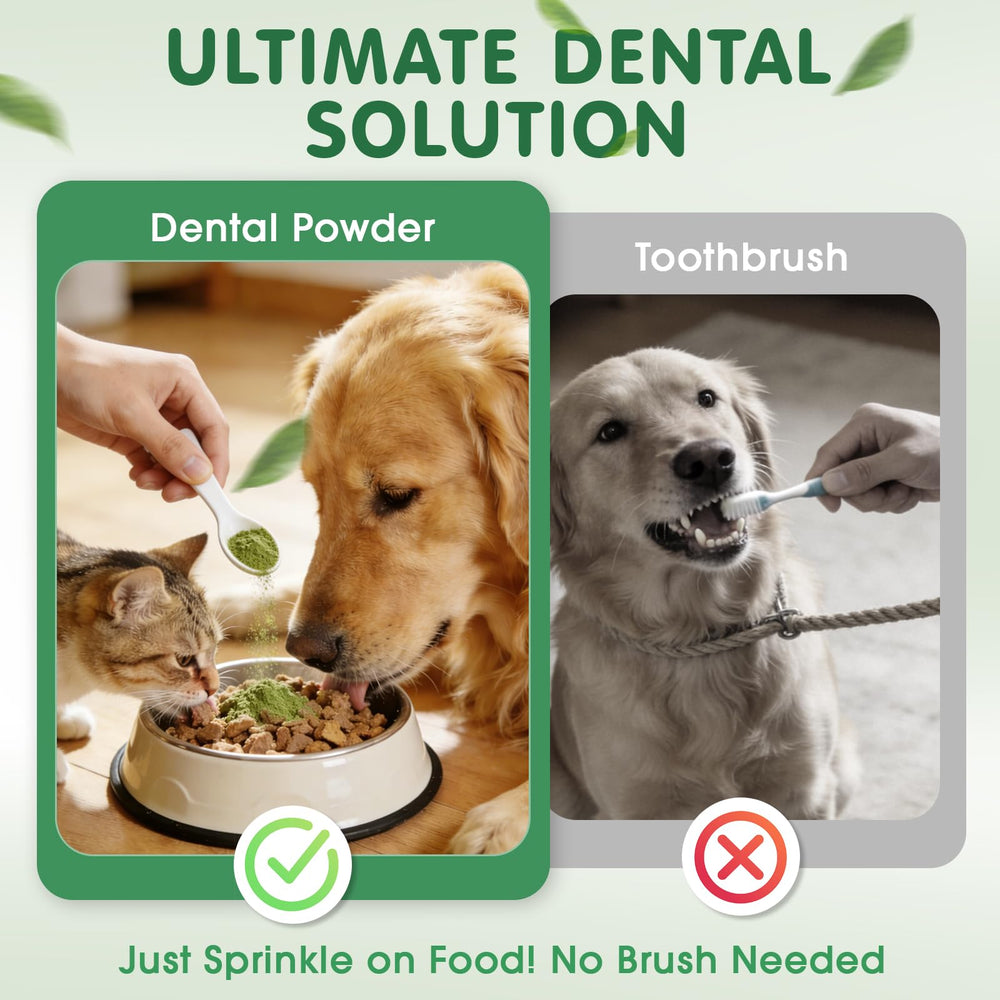 Solución 2 en 1 para perros y gatos, higiene bucal