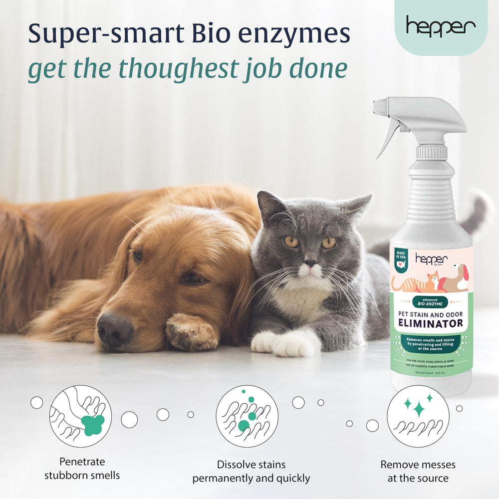 Hepper Advanced Bio-Enzyme, aplicación manual, limpia manchas en alfombras sin frotar.