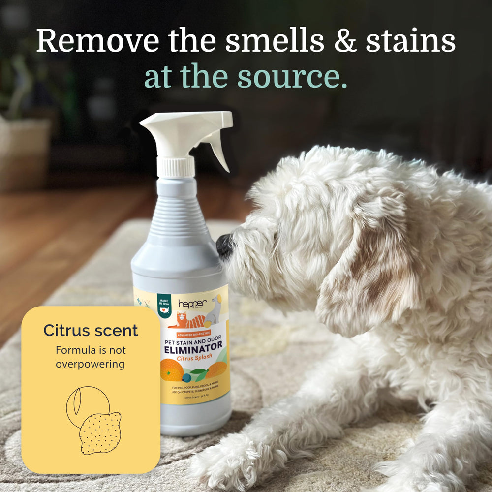 Hepper Advanced Bioenzima Spray para mascotas y manchas de orina/vómitos