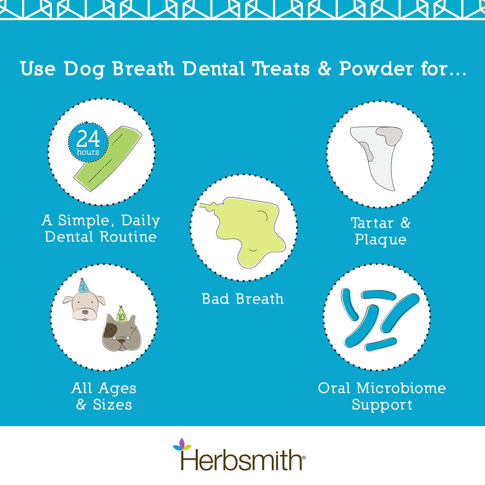 Herbsmith polvo dental, mezcla en pasta dental casera para perros.