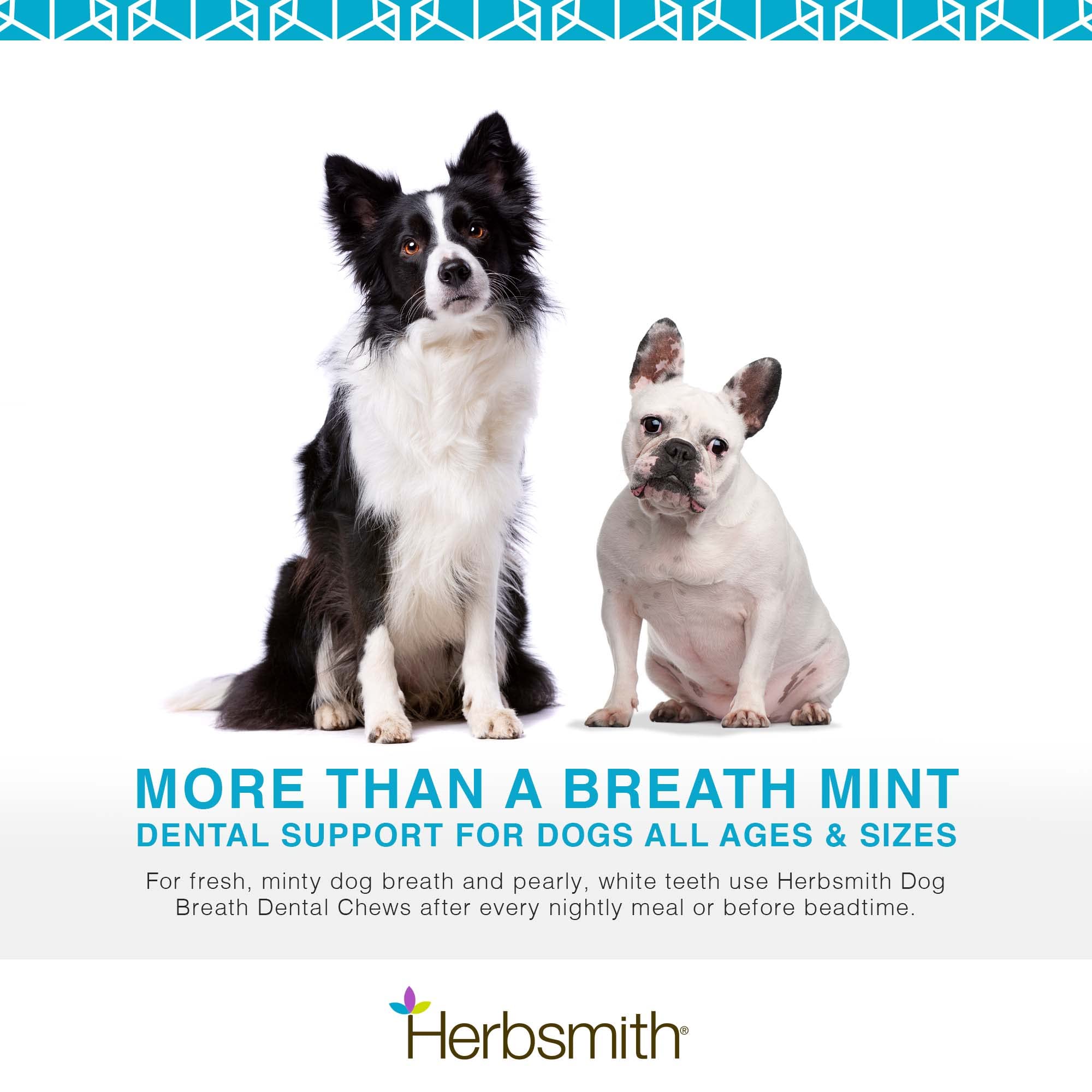 Herbsmith polvo dental, uso en el agua para aliento fresco.