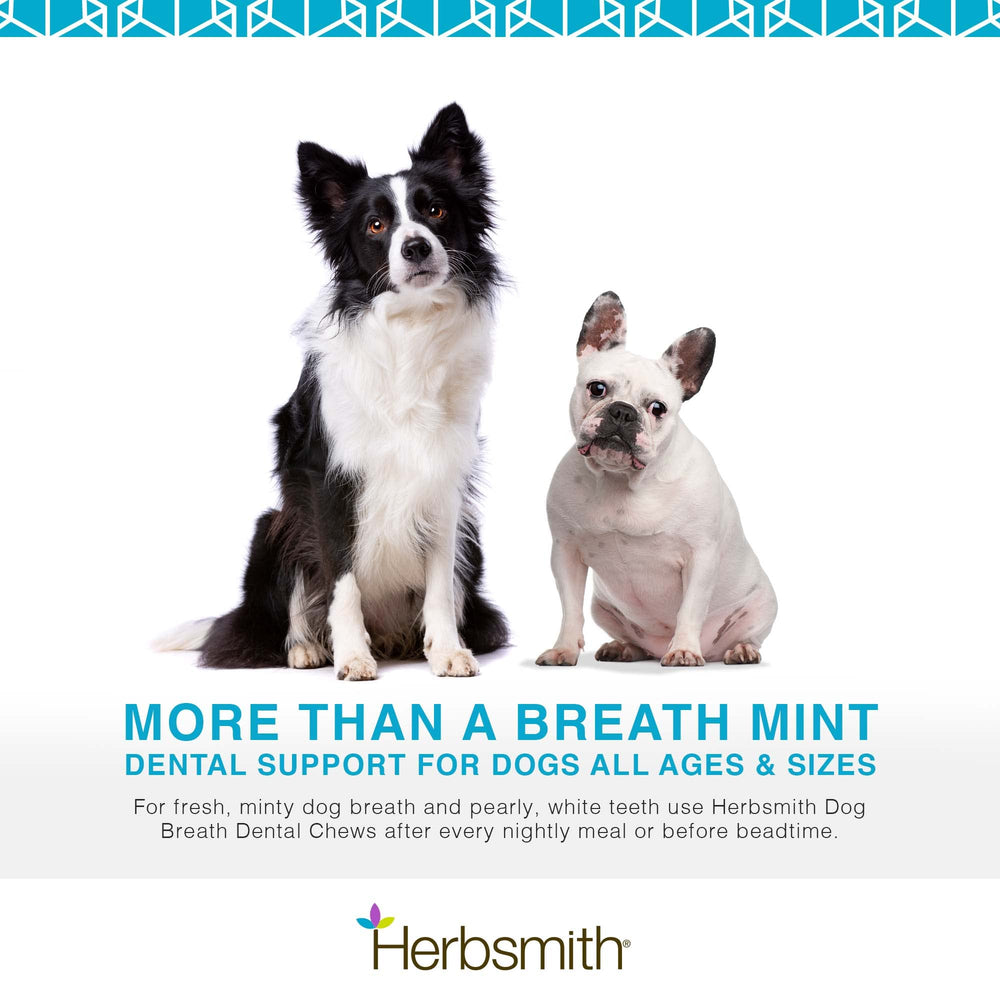 Herbsmith polvo dental, uso en el agua para aliento fresco.