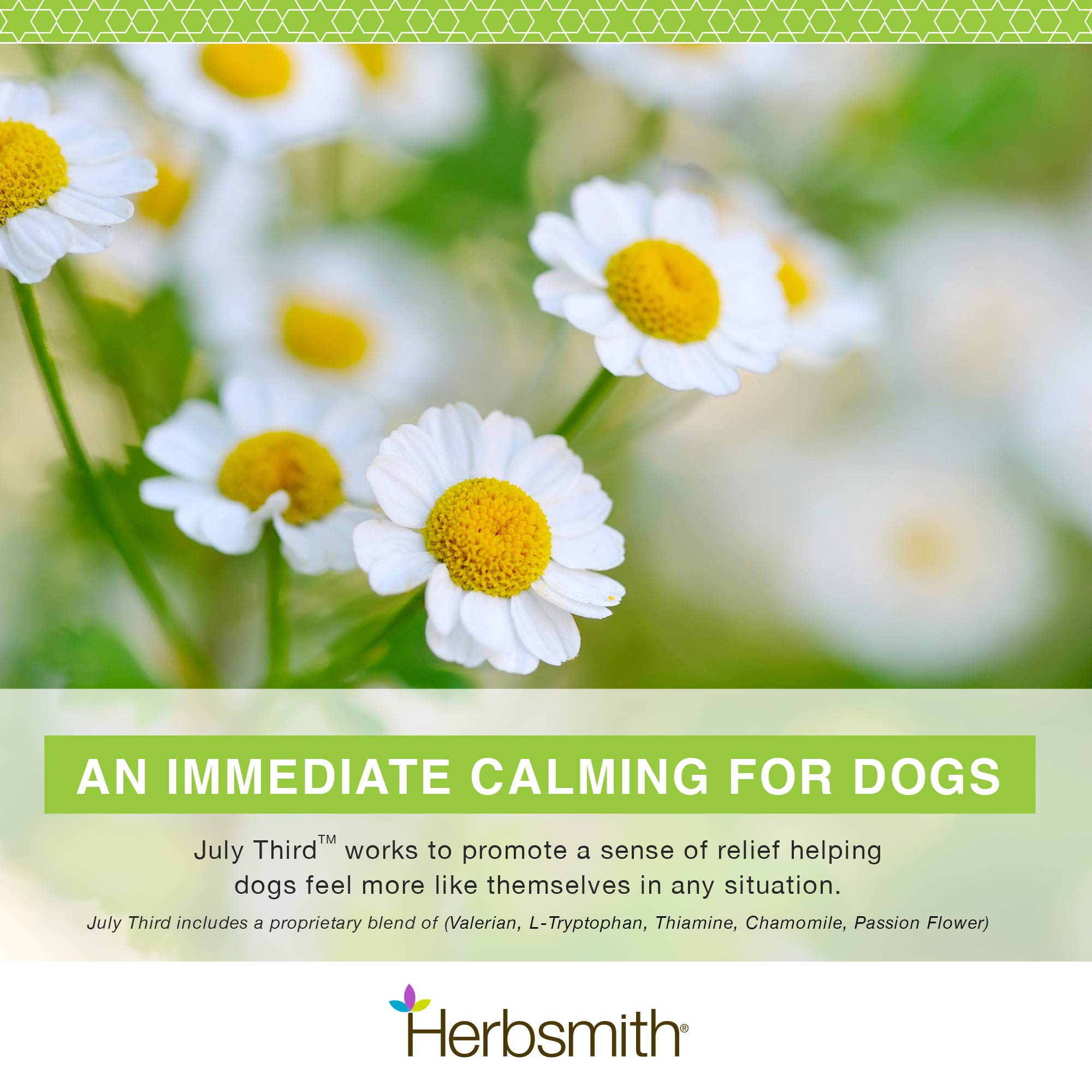 Perro relajado en parque gracias a July Third de Herbsmith