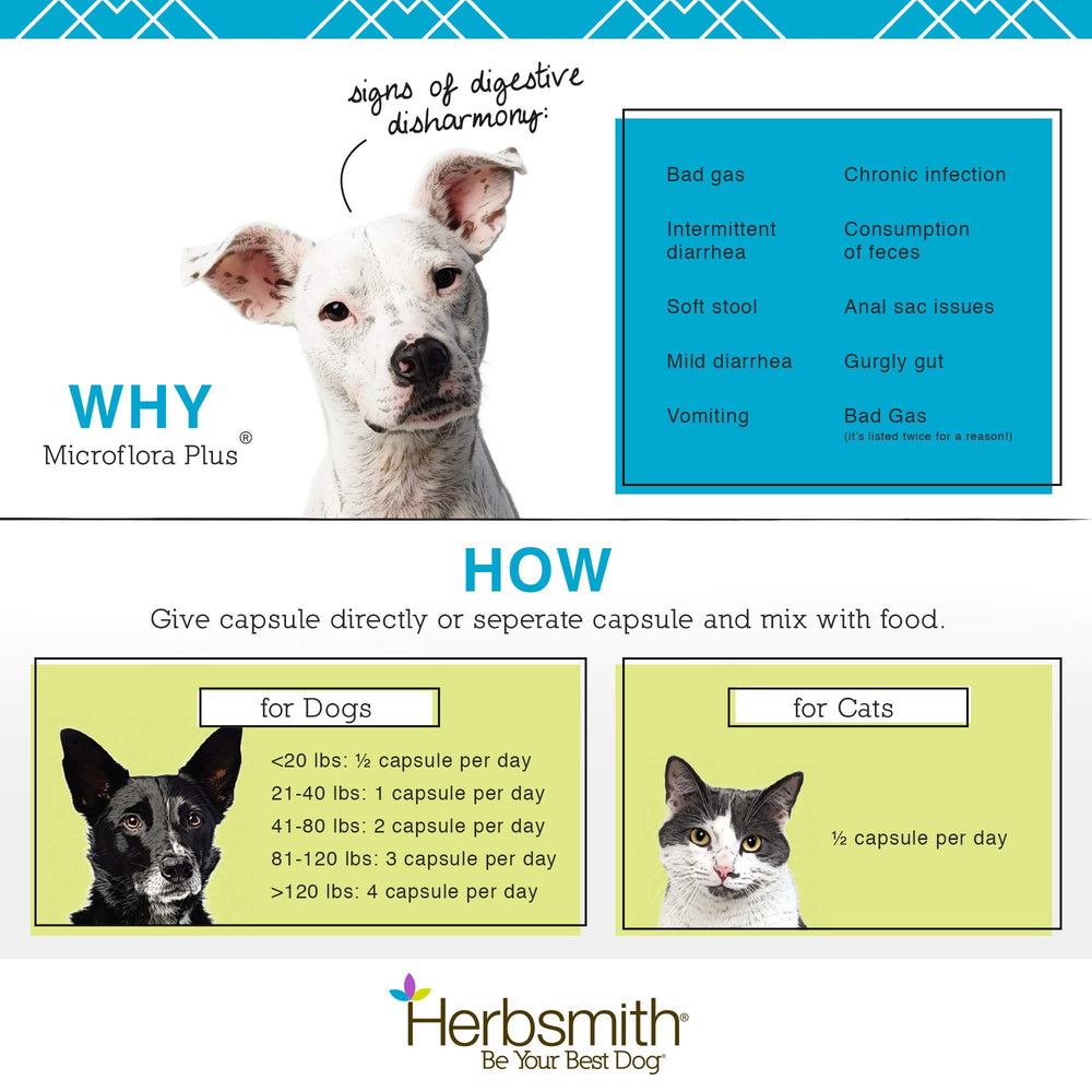 Herbsmith Microflora Plus, apto para todas las edades caninas.