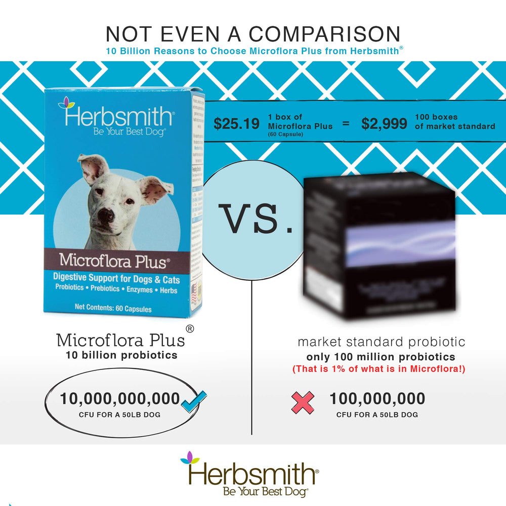 Herbsmith Microflora Plus enzimas digestivas, mejor absorción de nutrientes