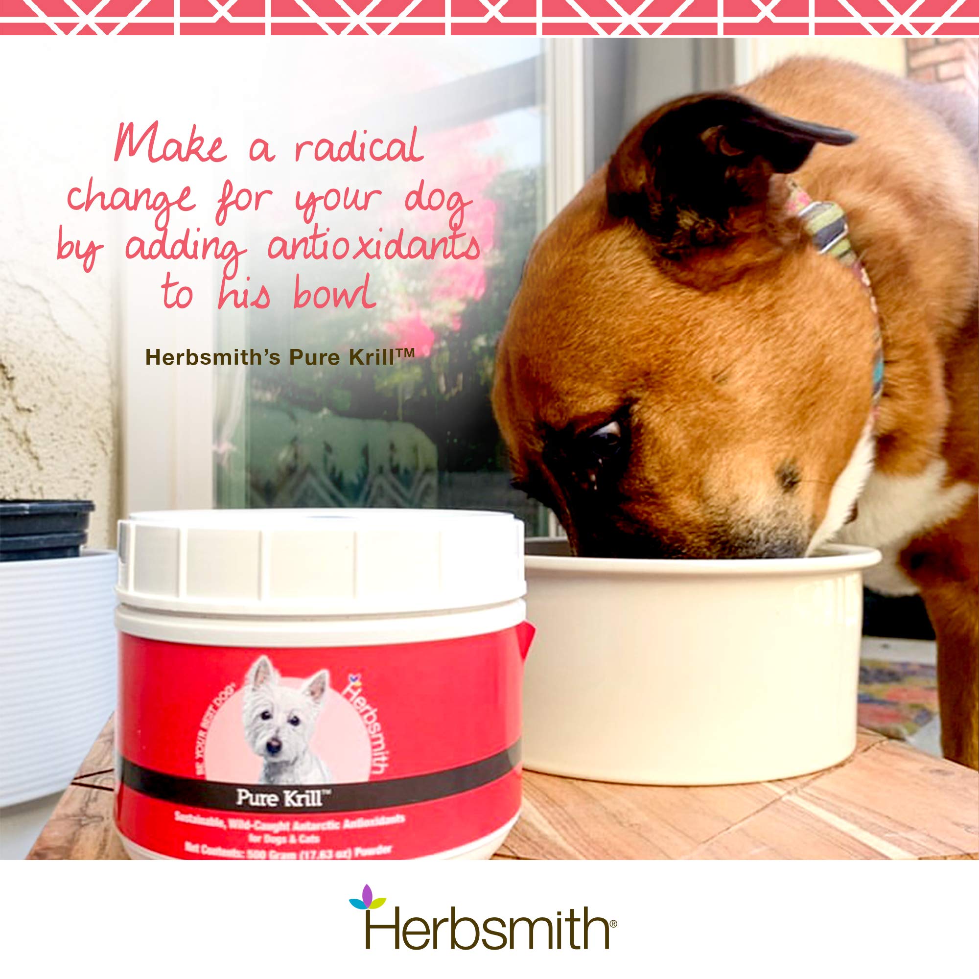 Origen sostenible y certificación MSC de Herbsmith Pure Krill.