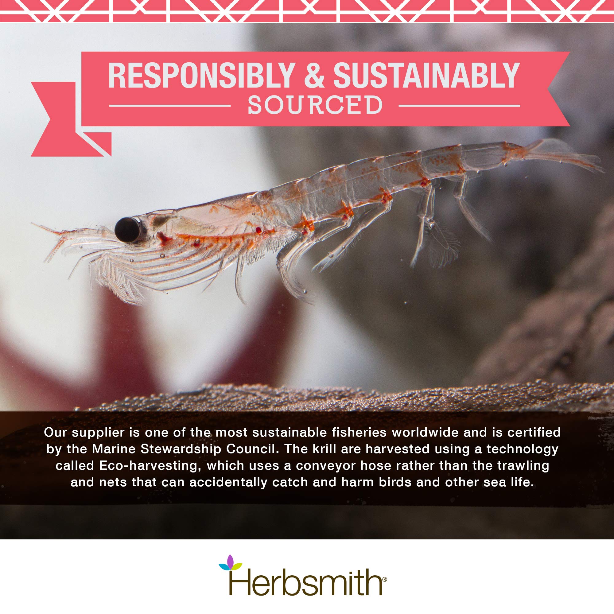 Herbsmith Pure Krill: sin aditivos y textura uniforme para mezclar.