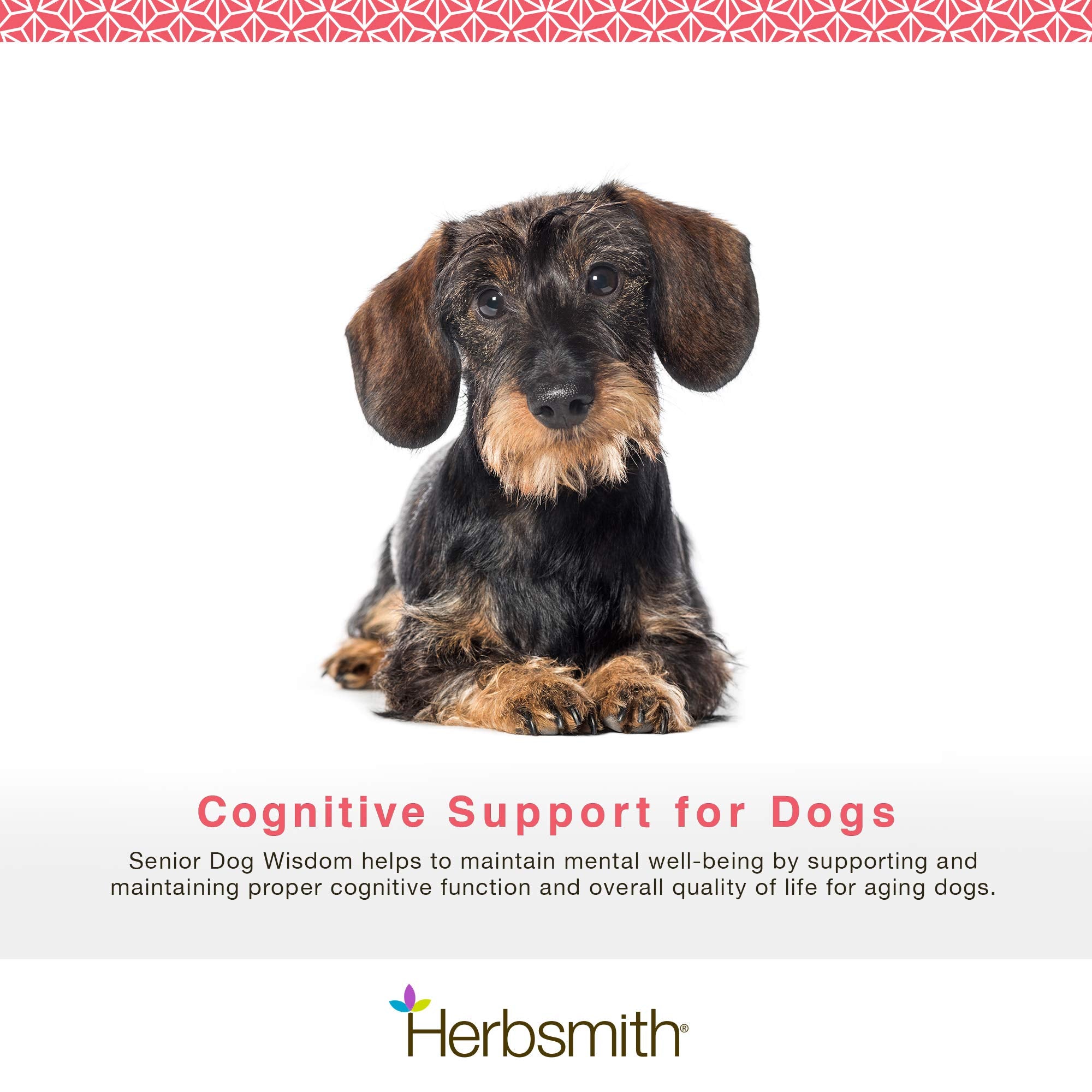 Herbsmith Senior Dog Wisdom: porción diaria para perros mayores, apoyo a la claridad mental