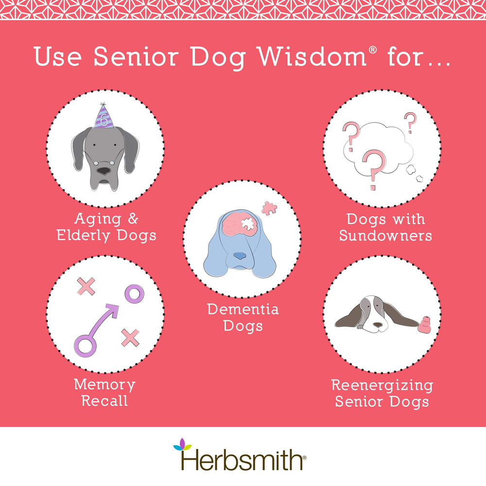 Herbsmith Senior Dog Wisdom: masticables pequeños fáciles de masticar para perros mayores