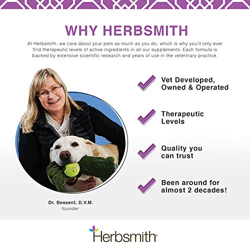 Herbsmith Sound Dog Viscosity apoyo natural MSM e hierbas antiinflamatorias